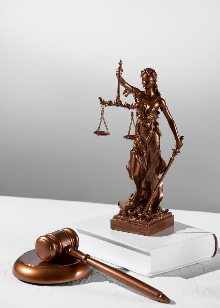 Ejercicio profesional en la Judicatura Ejercicio profesional en la Judicatura